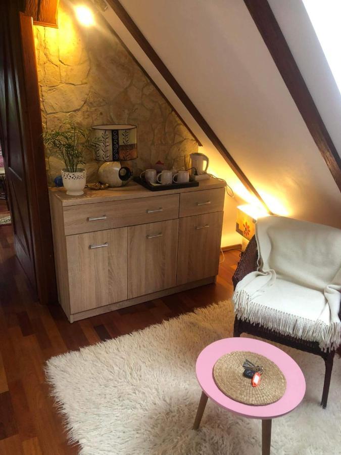 Bed and Breakfast Willa Nad Popradem Piwniczna-Zdroj Exterior foto