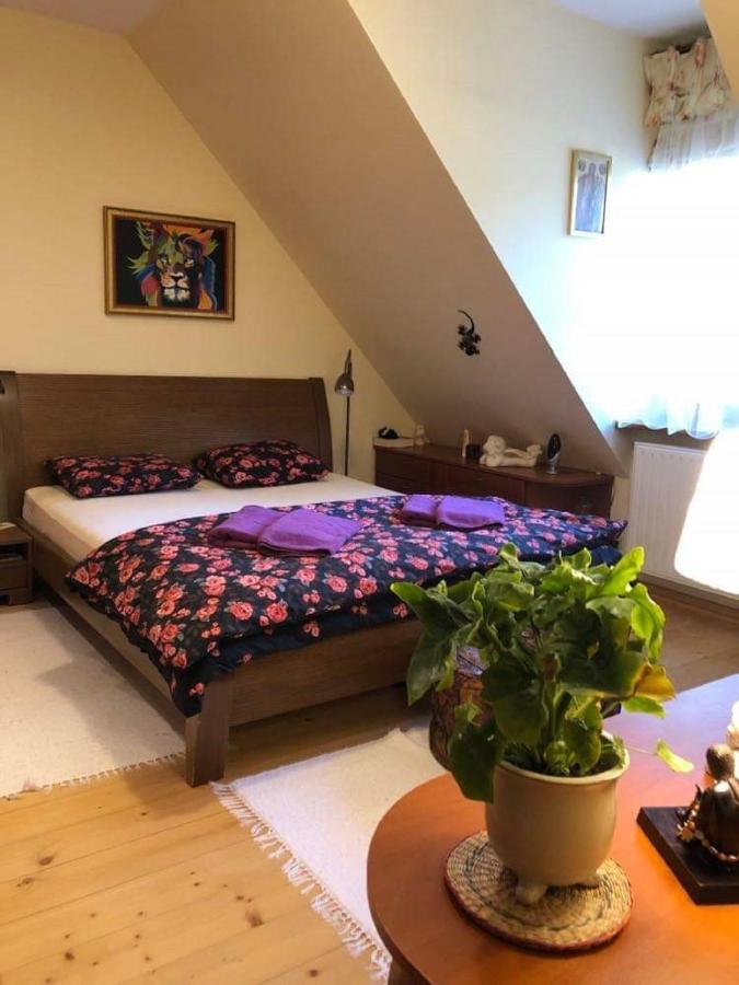 Bed and Breakfast Willa Nad Popradem Piwniczna-Zdroj Exterior foto