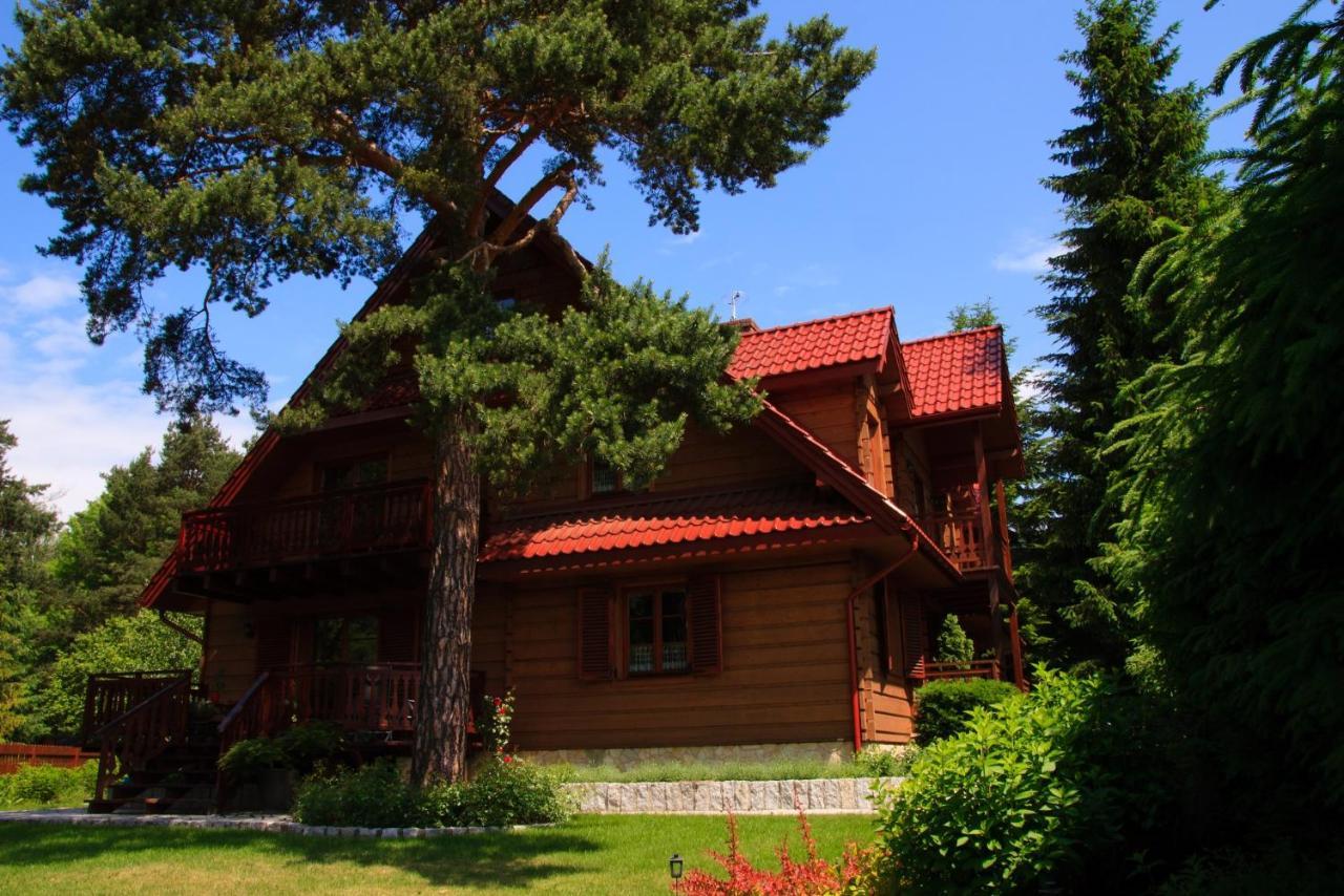 Bed and Breakfast Willa Nad Popradem Piwniczna-Zdroj Exterior foto