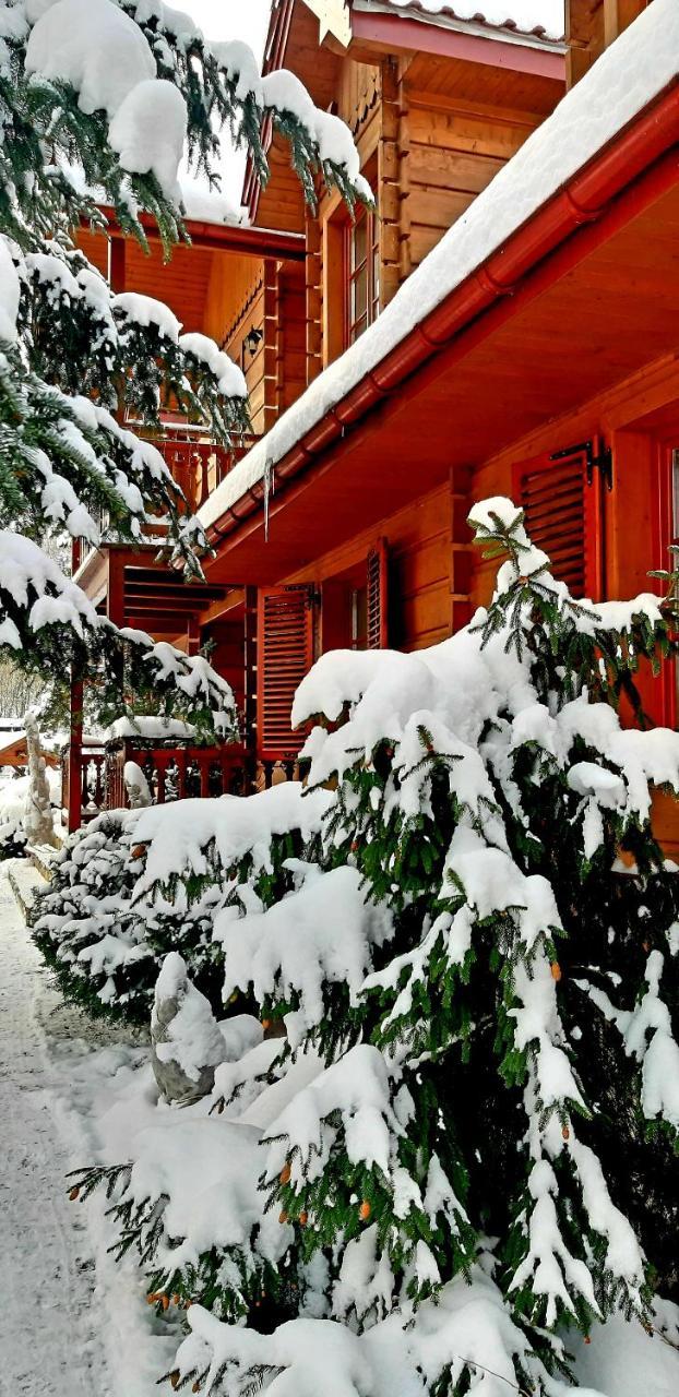 Bed and Breakfast Willa Nad Popradem Piwniczna-Zdroj Exterior foto